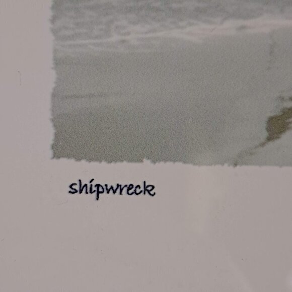 "Shipwreck" Print Black Frame Signed by Artist Scott Griswold - Picture 4 of 7